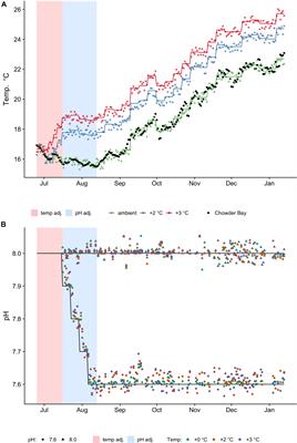 Impacts of Acclimation in Warm-Low pH Conditions on the Physiology of the Sea Urchin Heliocidaris erythrogramma and Carryover Effects for Juvenile Offspring